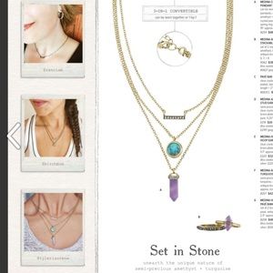 Chloe and Isabel interchangeable necklace